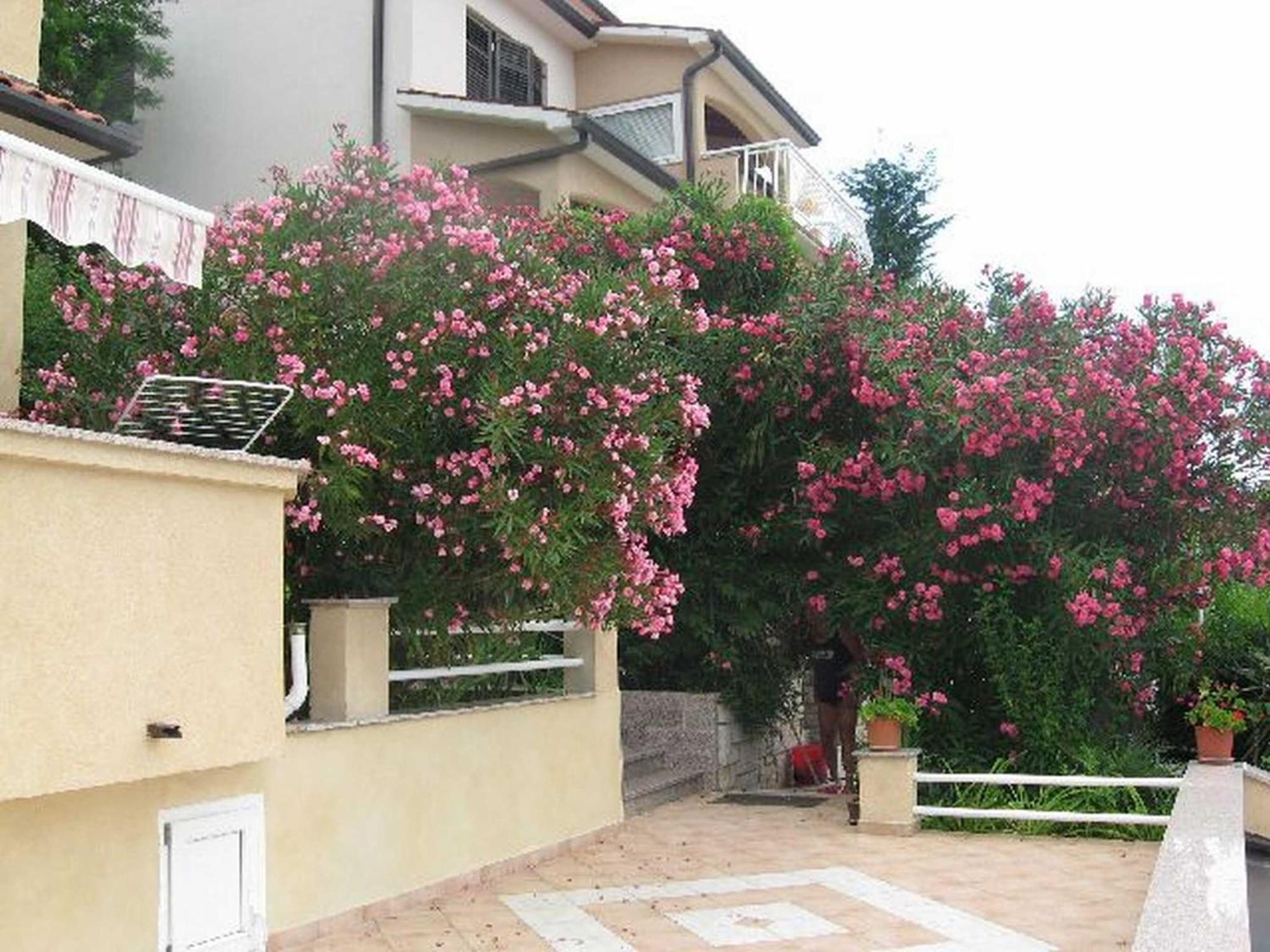 Apartments Silmare Rabac Exterior photo